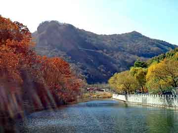 新澳天天开好彩大全，站群模板